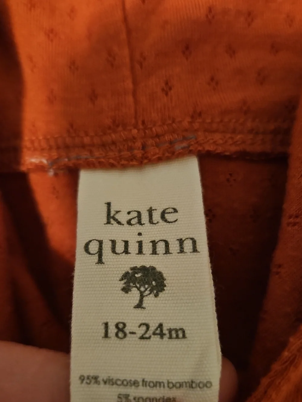 Kate Quinn 18-24M Bamboo Hooded Sweatshirt Burnt Orange Pullover